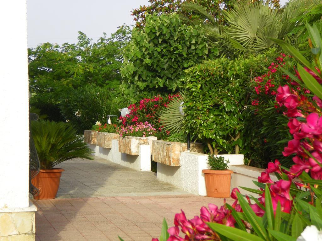 B&B Valle D'Itria Martina Franca Esterno foto